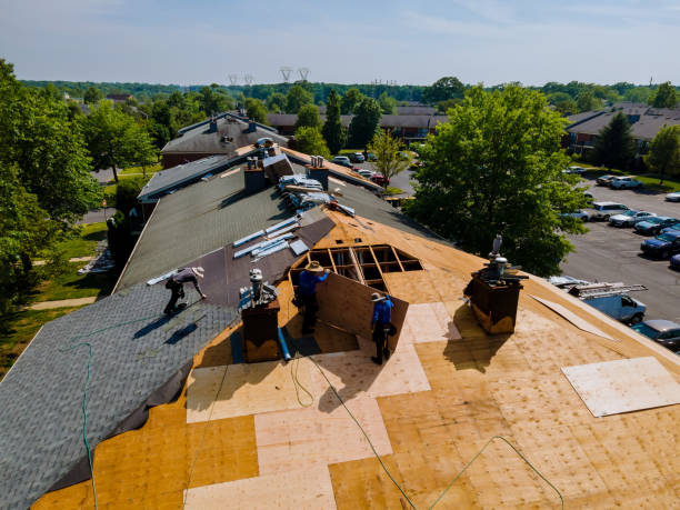 Quick and Trustworthy Emergency Roof Repair Services in Lewiston, UT